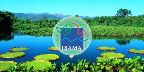 Ibama recebe autorização para nova seleção
